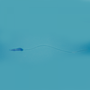 Cuction Catheter